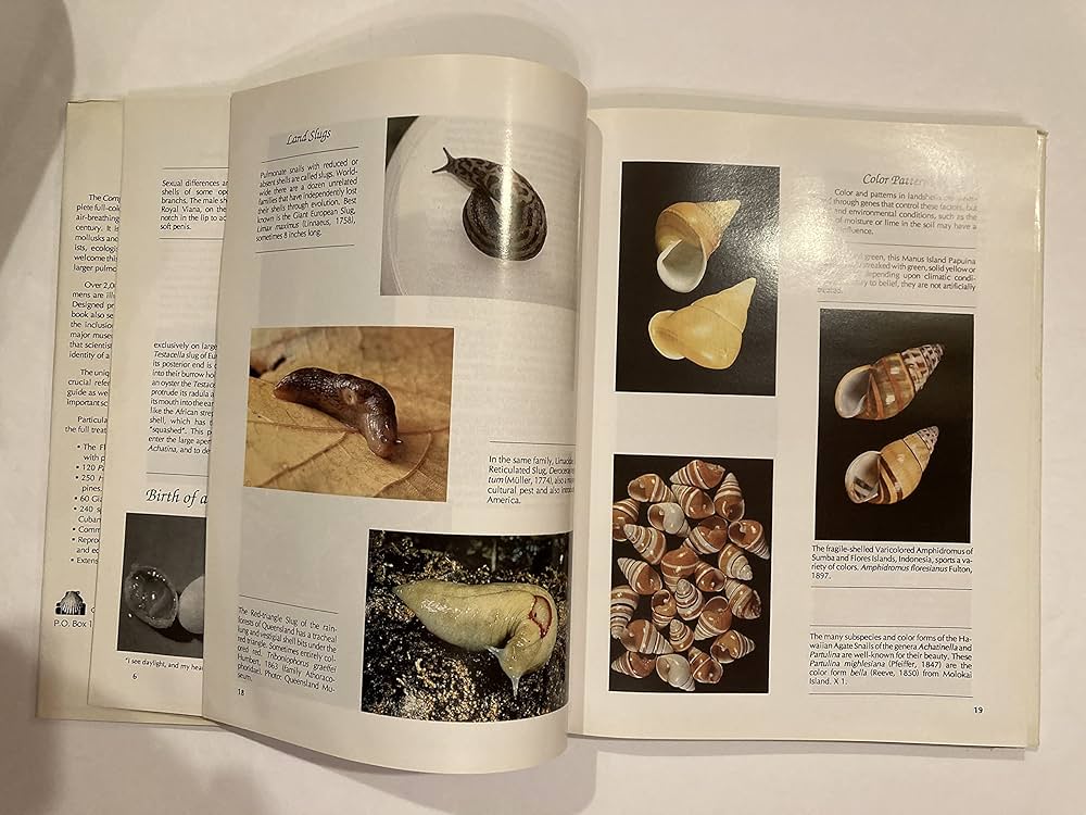 Shell Collecting —An Illustrated History The Book of Shells: A Life-Size Guide to Identifying and